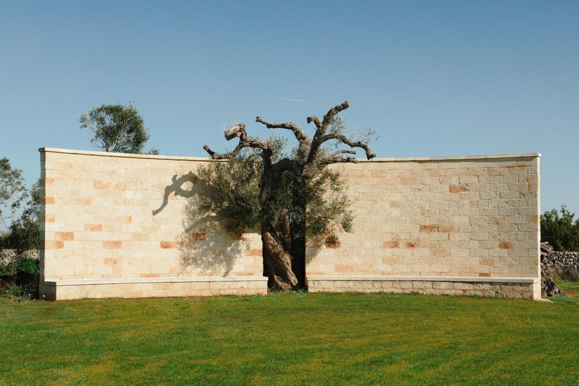 Secolario Masseria Del Viverbene Palmariggi Kültér fotó