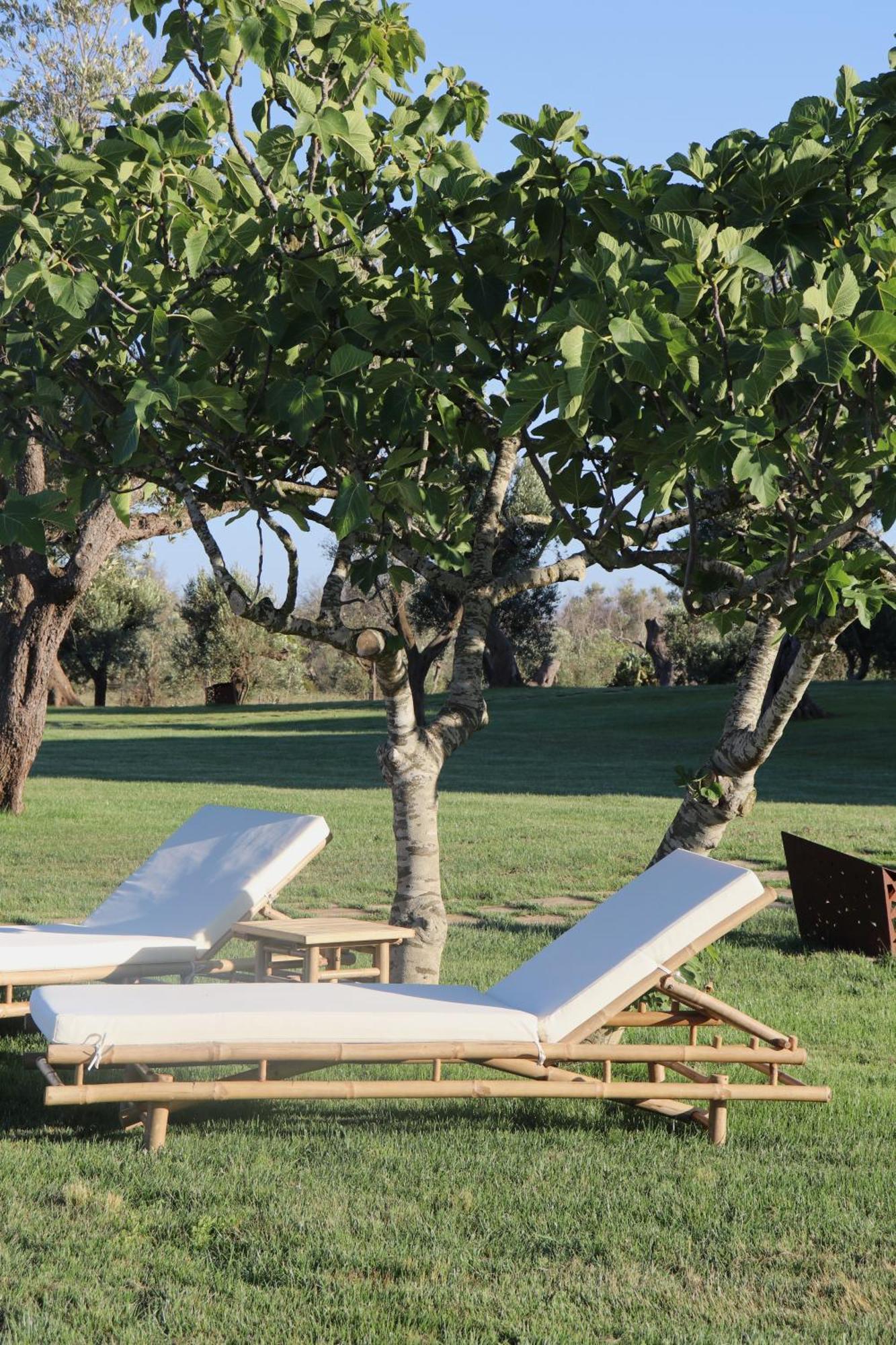 Secolario Masseria Del Viverbene Palmariggi Kültér fotó